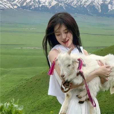 沉香如梦夜不寒
